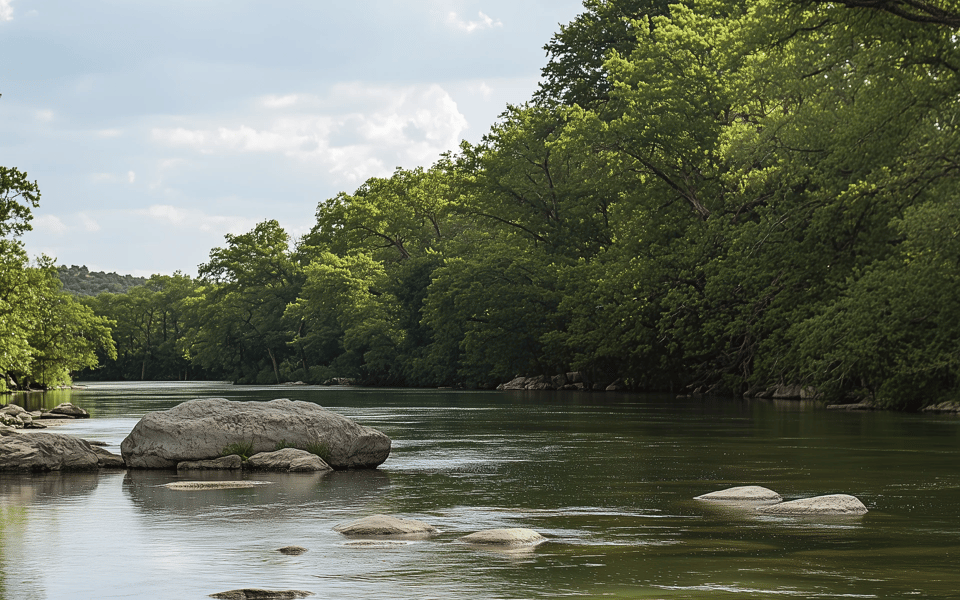 Explore Spring Branch Real Estate – Your Luxury Retreat Awaits
