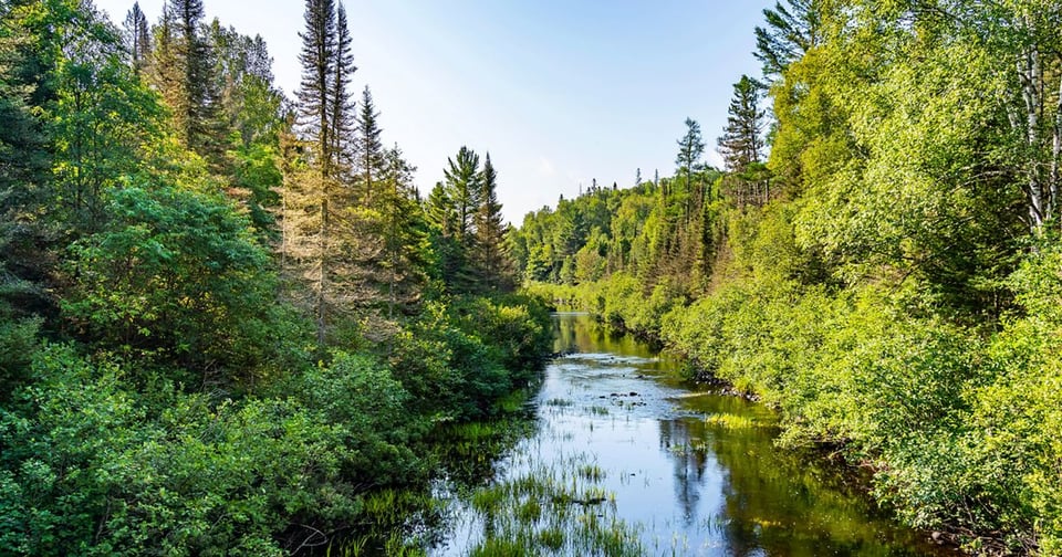 12 Things to Do in Michigan in April | Blog | SK Group