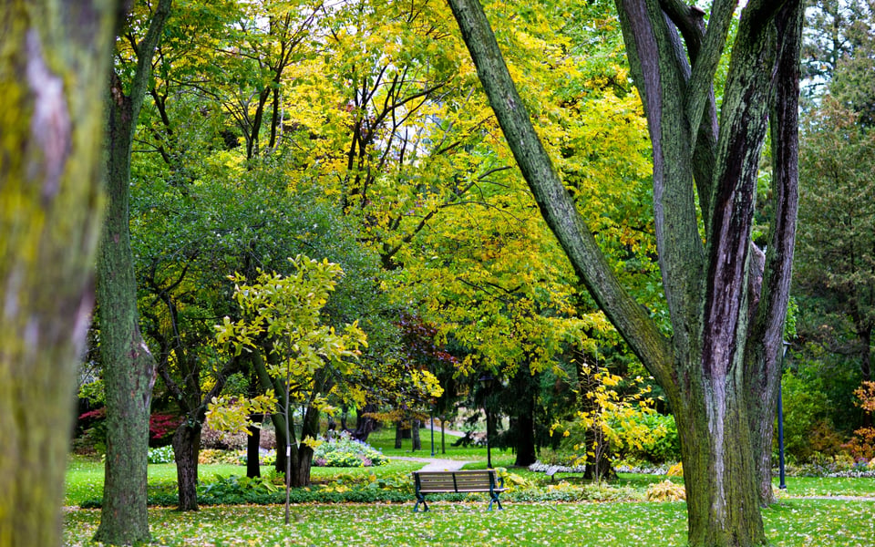 Lawrence Park Toronto Real Estate | Neighbourhood Guide