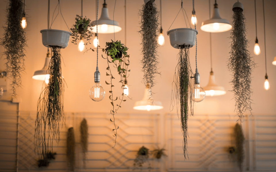 Creative Lighting Ideas for Modern Homes in Cincinnati | Blog | The ...