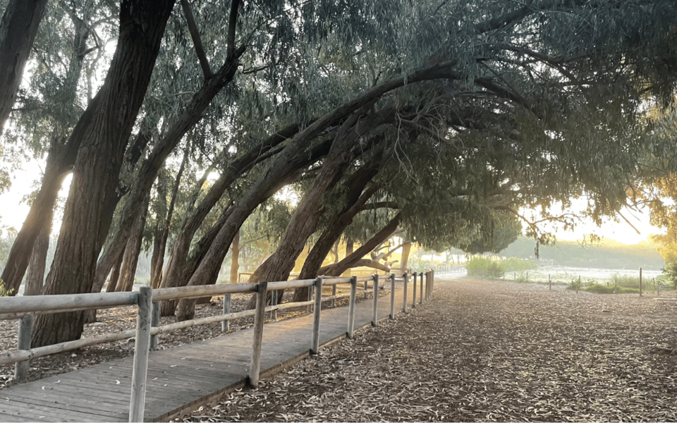 Moving to Cypress, TX: Your Ultimate Relocation Guide | Blog | Courtney ...