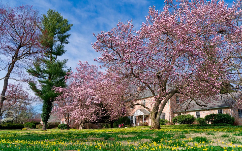 Explore Devon | Neighborhood Guide | The Sivel Group