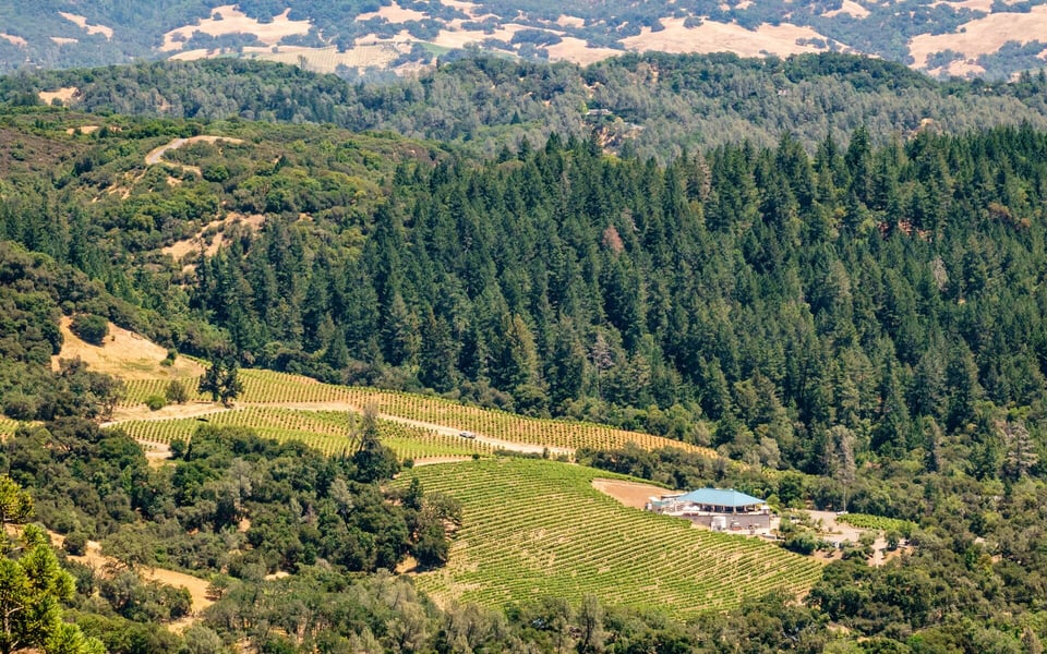 Meadow Ranch | Neighborhood Guide