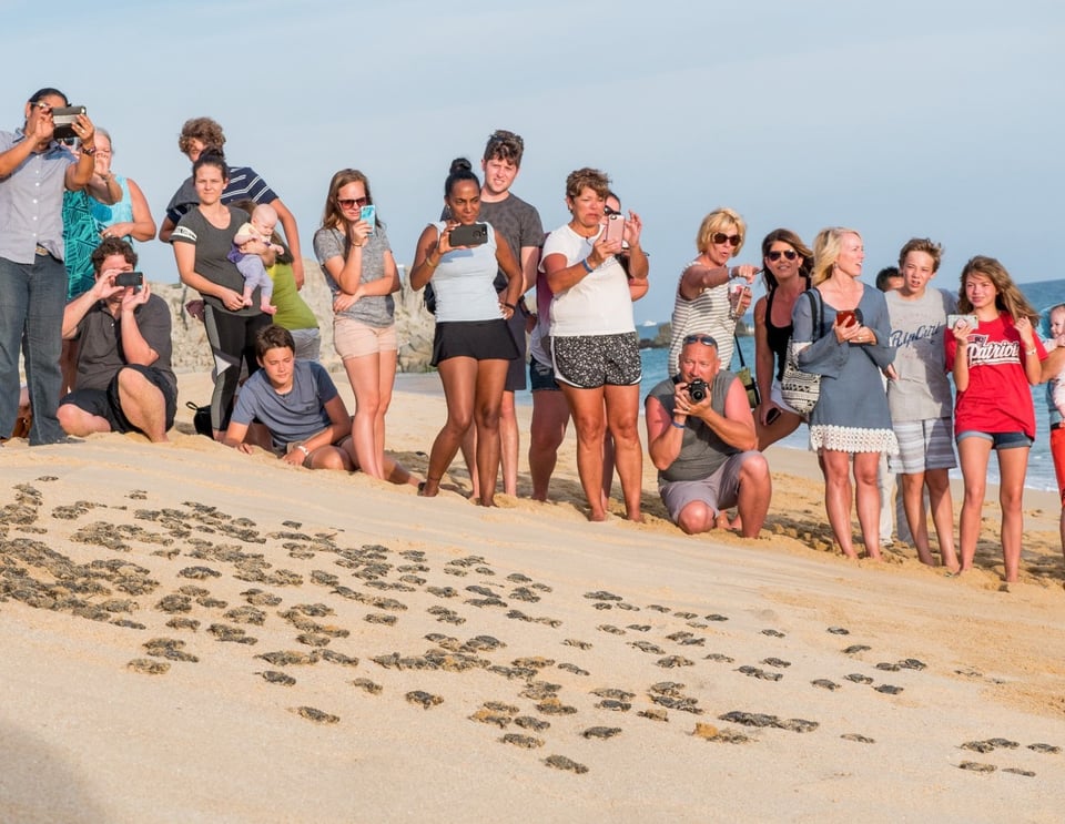 Residents at a sea turtle release on the beach at Quivira