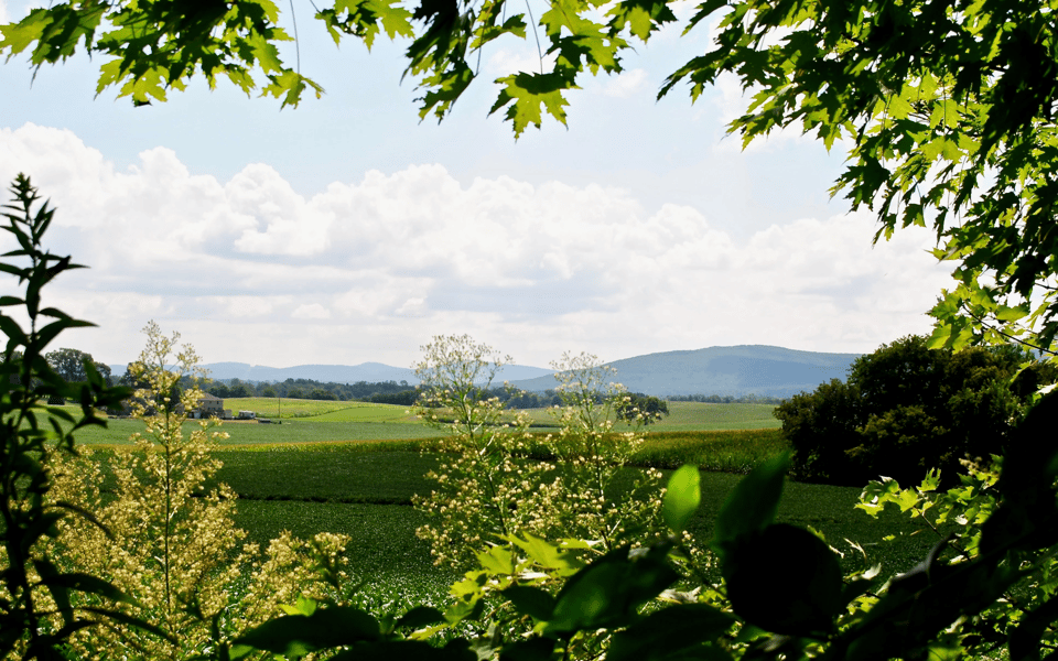 Boiling Springs | Neighborhood Guide | Turn Key Realty Group