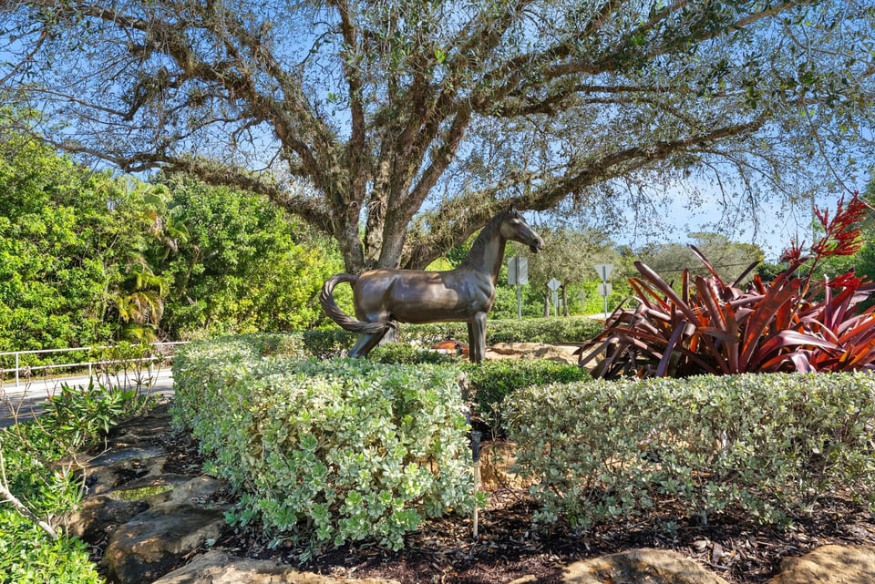 Neighborhood || The Ranches