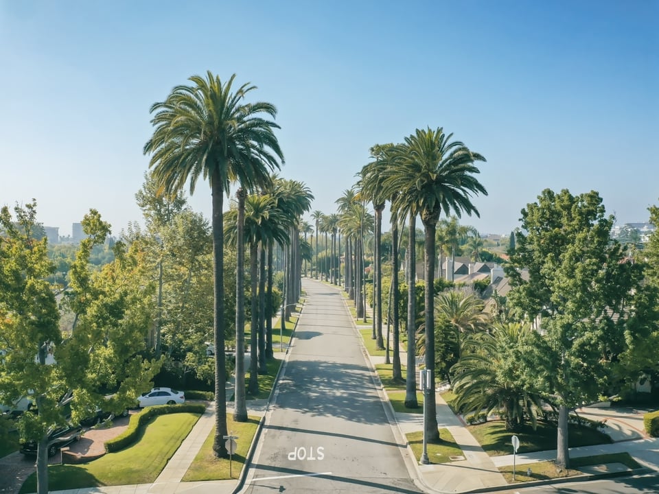 Beverly Hills Homes for Sale | Neighborhood Guide