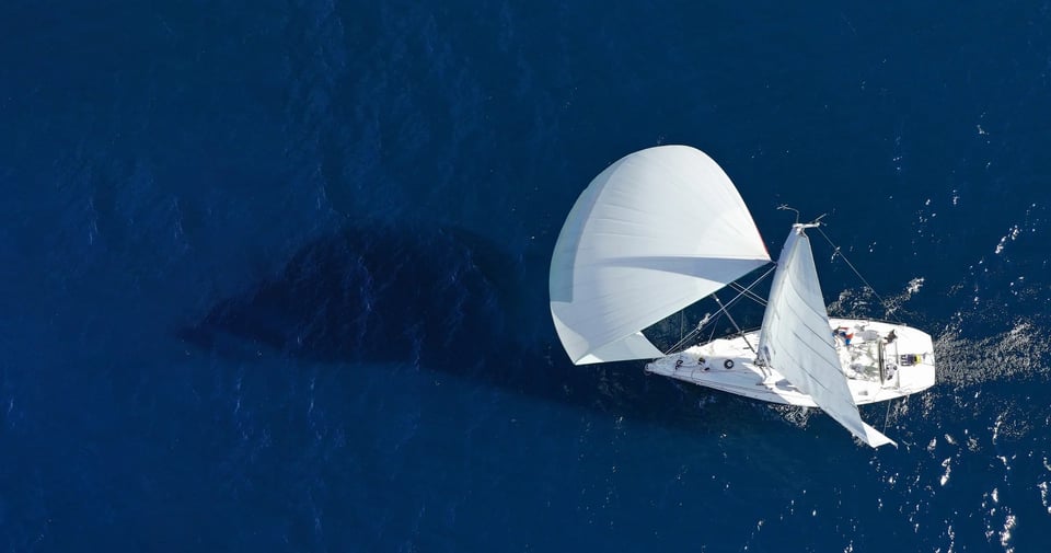 December 2025 Newsletter