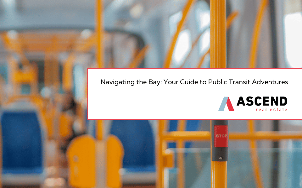 Navigating the Bay: Your Guide to Public Transit Adventures