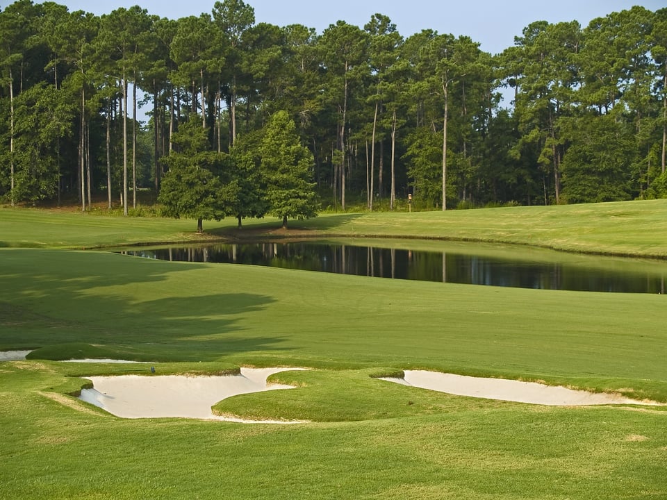 Colleton River | Neighborhood Guide | The Paradise Group