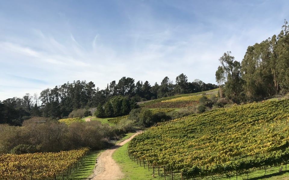Watsonville California community and homes