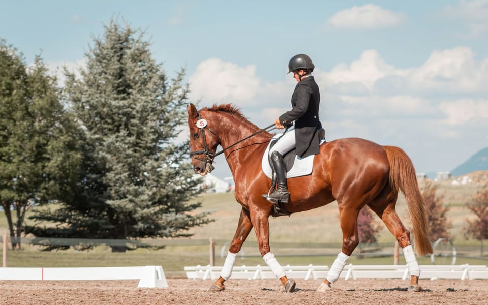 Best Equestrian Clubs in Southern California | Blog | Jeannie Garr Roddy