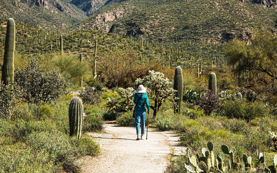Canyon Del Rio | Neighborhood Guide | Blake Cundick
