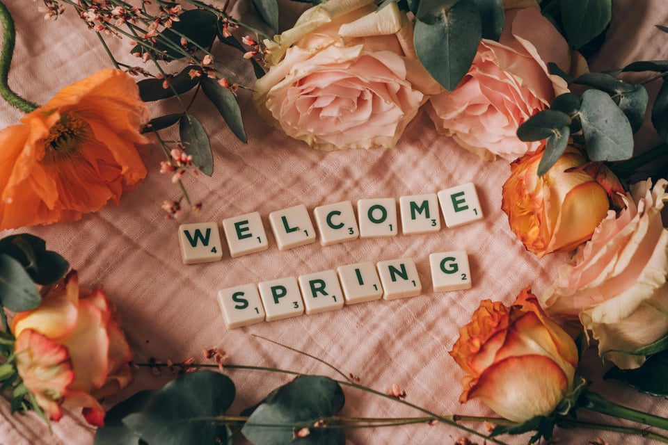 Spring 2026 Events Guide for San Carlos, Belmont, Redwood City, and the ...
