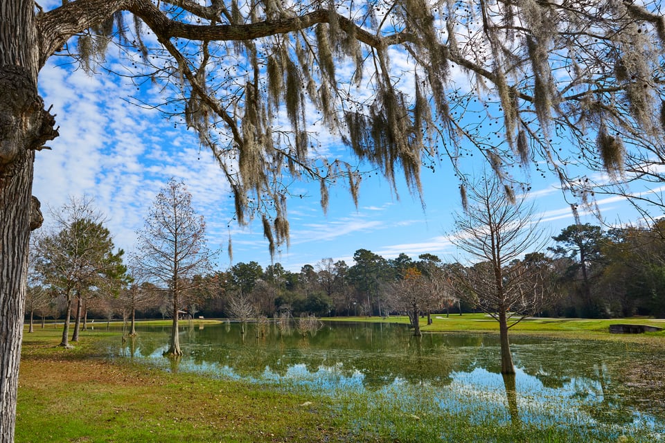 Tomball TX Real Estate & Homes | Neighborhood Guide