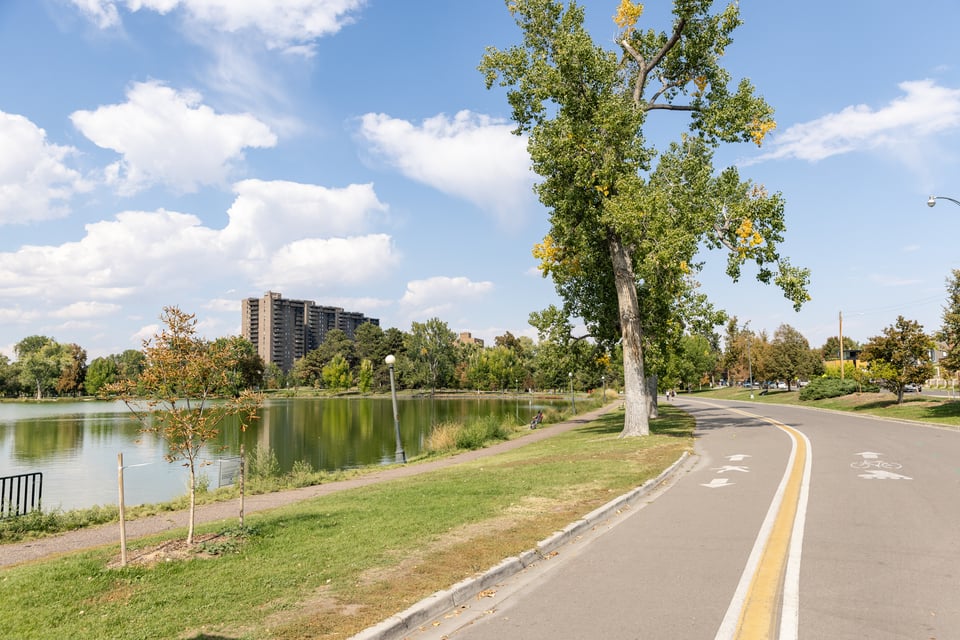Dog-Friendly Denver in Early Spring | jasoncummingsdenver.com