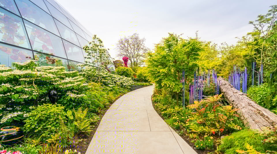 seattle-events-march-2025-festivals-activities-zac-lee-realtor