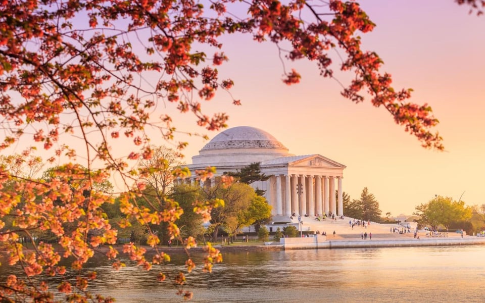 Washington | Neighborhood Guide | Tarshea Smith
