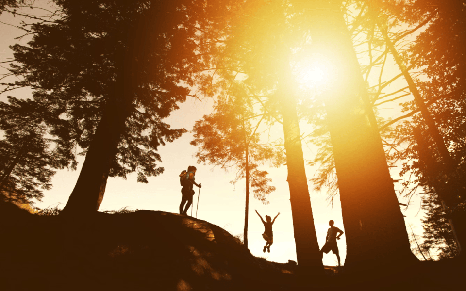 Georgetown, D.C. — Schools and Education