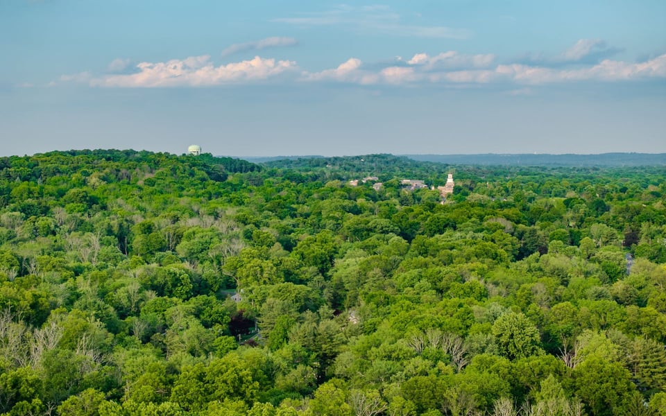 Basking Ridge | Neighborhood Guide | Domenique & Mikaela