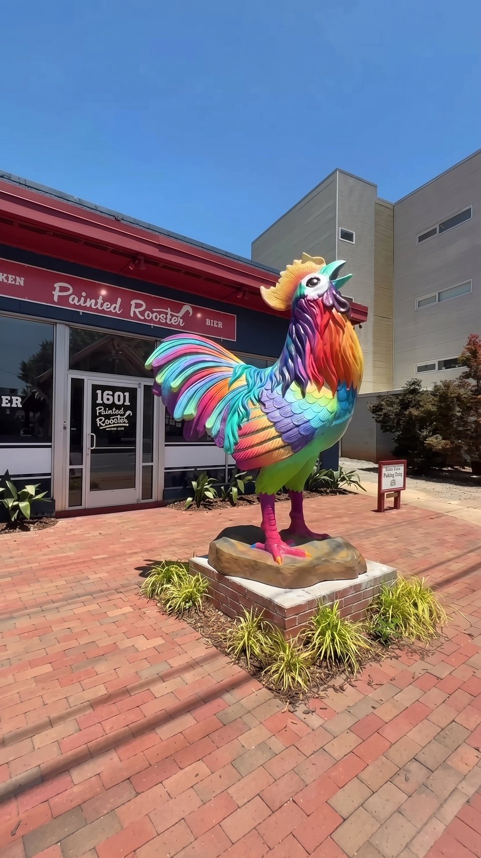 Painted Rooster tenders and wings