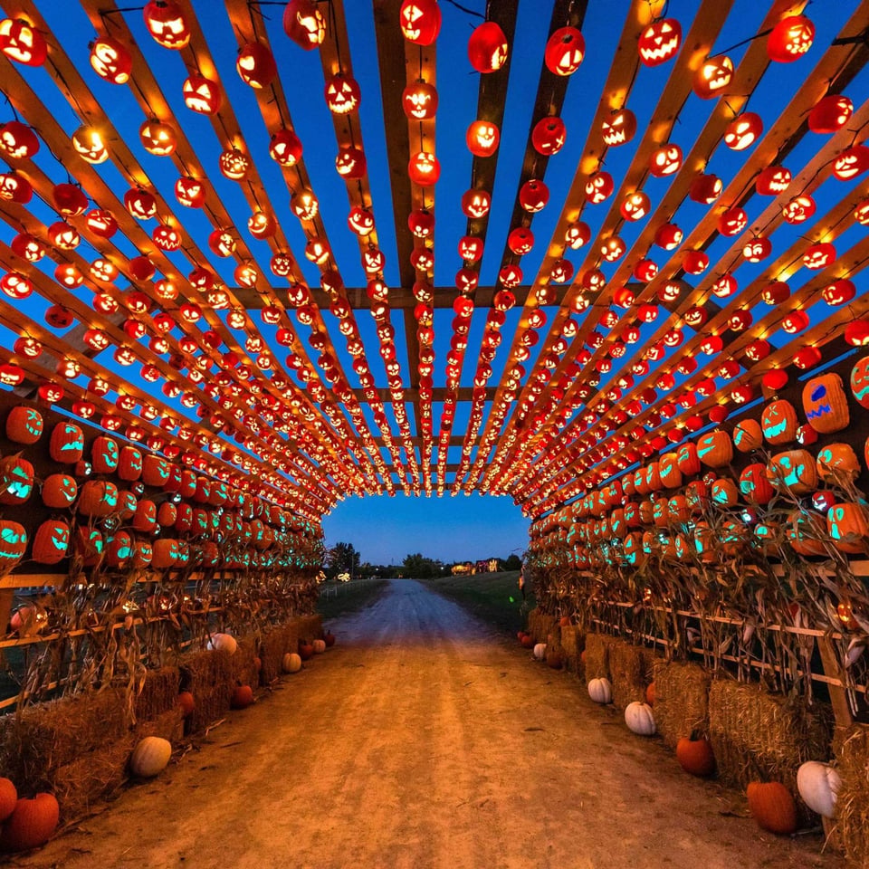 Best Fall Events in Houston, Katy & Fulshear 2025 | Jenny Becker