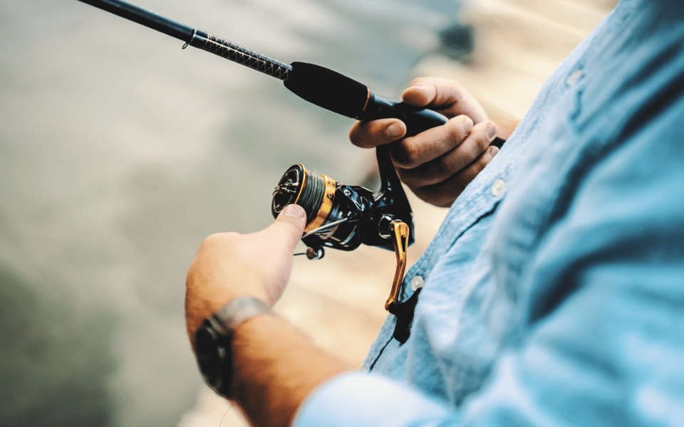 The Top Attractions in Bullhead City, AZ, for Locals or Tourists | Blog
