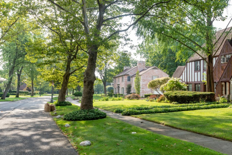 Park-like setting in Palmer Woods