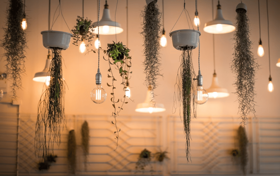 How to Use Lighting to Transform Your Living Space | Blog | Libby ...