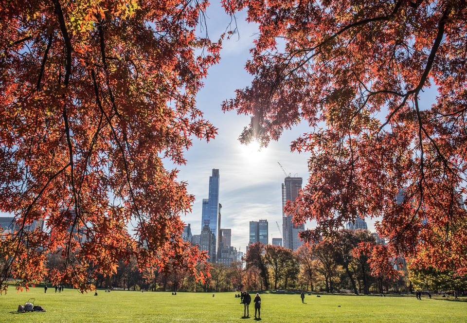 The Best Things About Fall in Houston | Raquel Refuerzo | Blog