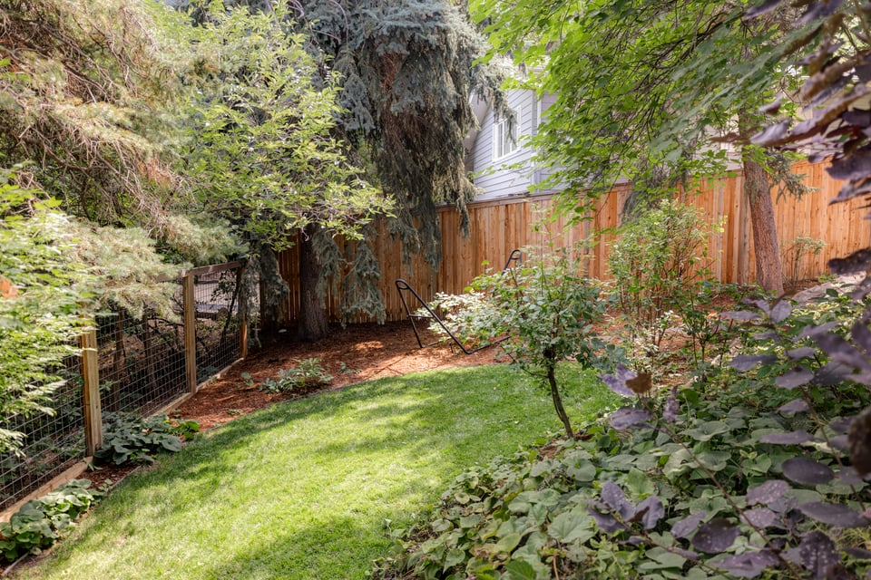 440 Christmas Tree Drive