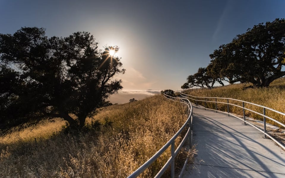 Top Things to Do in Palo Alto | Blog - Chris Iverson