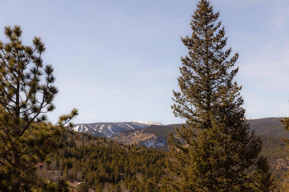 103 W Wildewood Drive