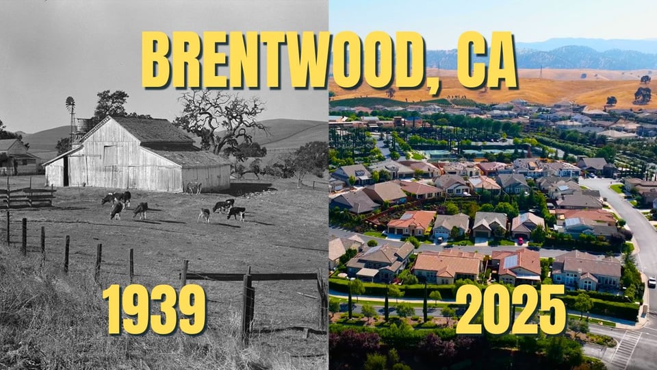Why Is Everyone Suddenly Moving to Brentwood, CA? Bay Area Real