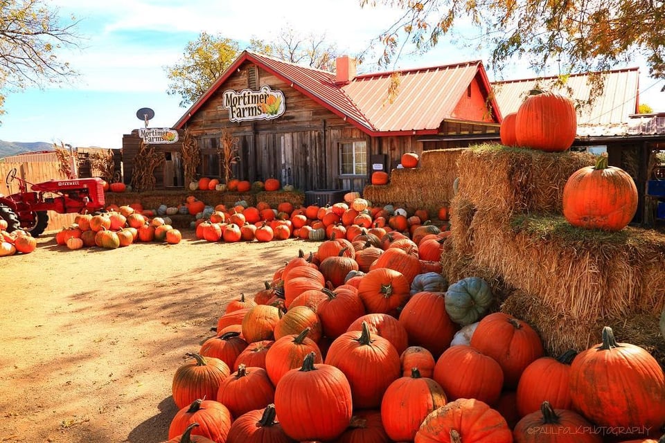 Top Fall Festivals