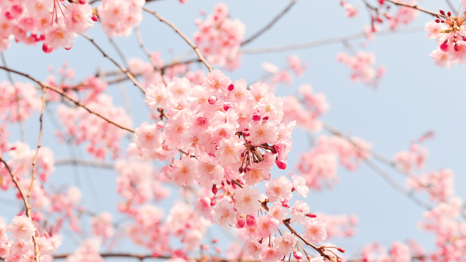 April Events