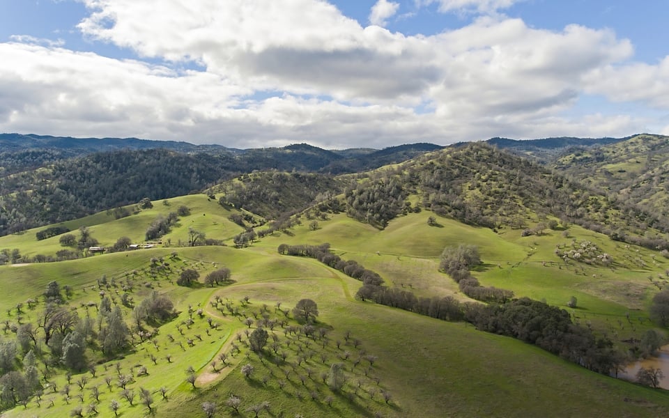 Capay Valley Real Estate | Rural Luxury Homes for Sale