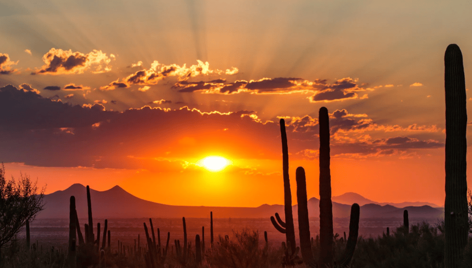 October 2025 Newsletter