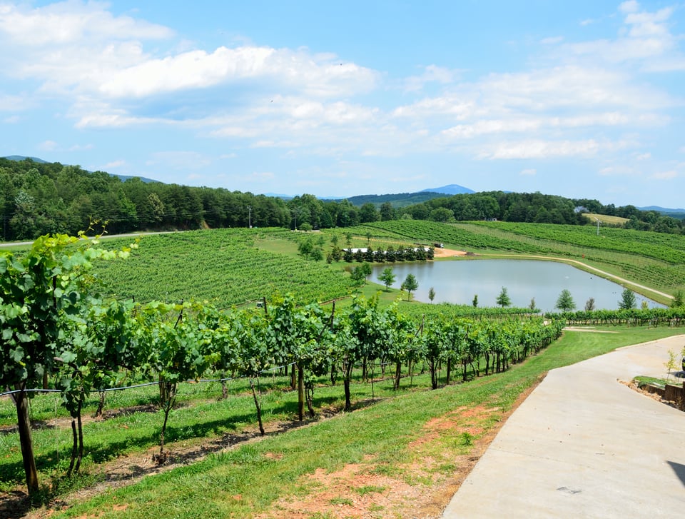 Neighborhood || Vinings