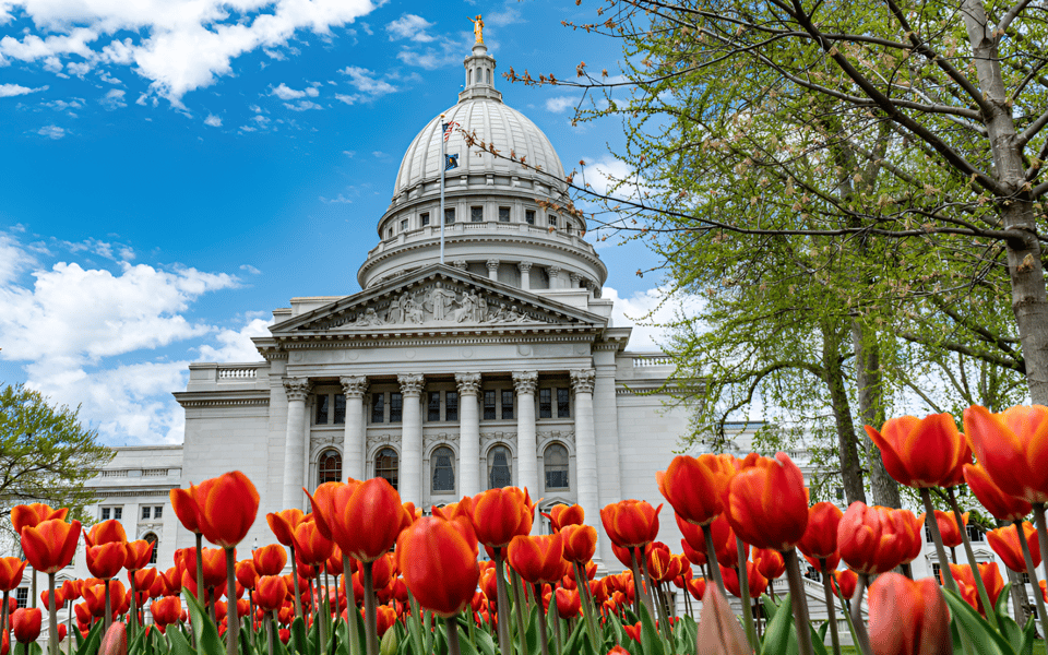 Discover the Best Summer Festivals in Madison