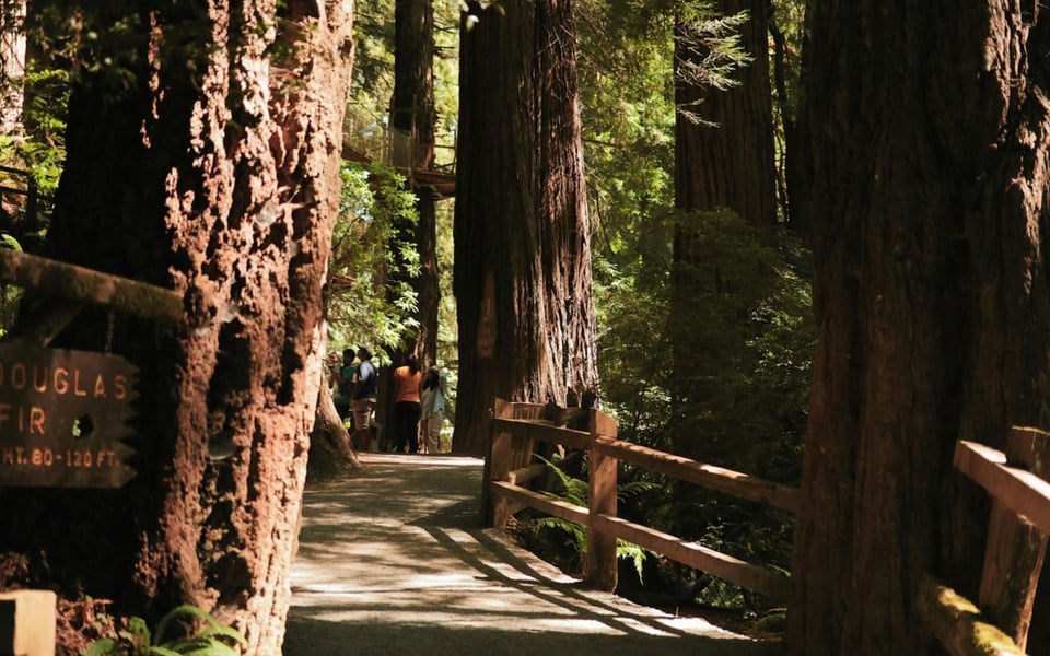 Things You Might Not Know About Redwood City, CA | 10 Facts