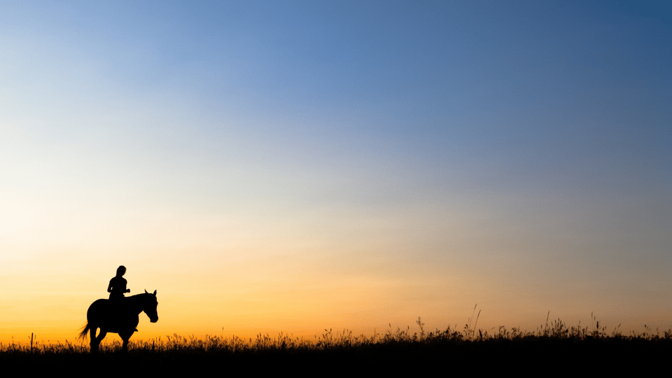 Valentine’s Day Horseback Ride & Wine Experience in Palos Verdes | Live ...