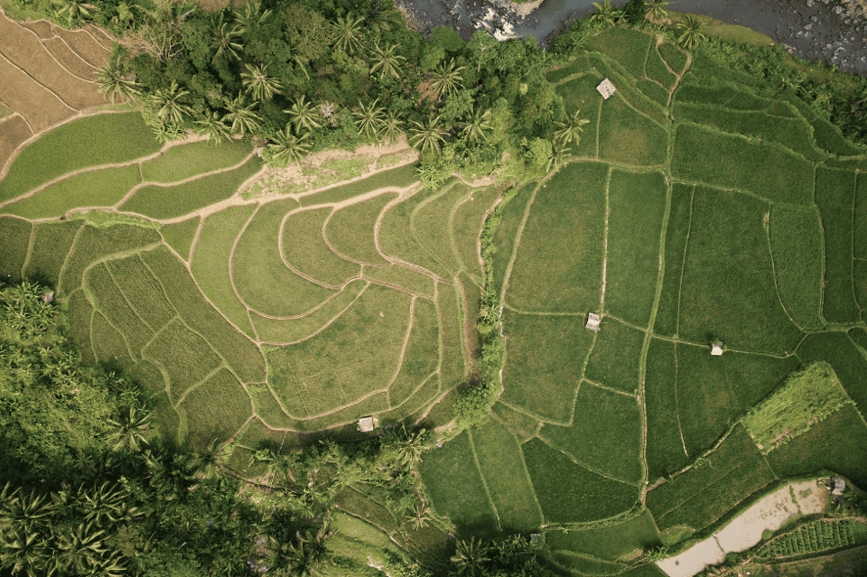 Puerto Rico Rural Land for Sale: Benefits & Challenges