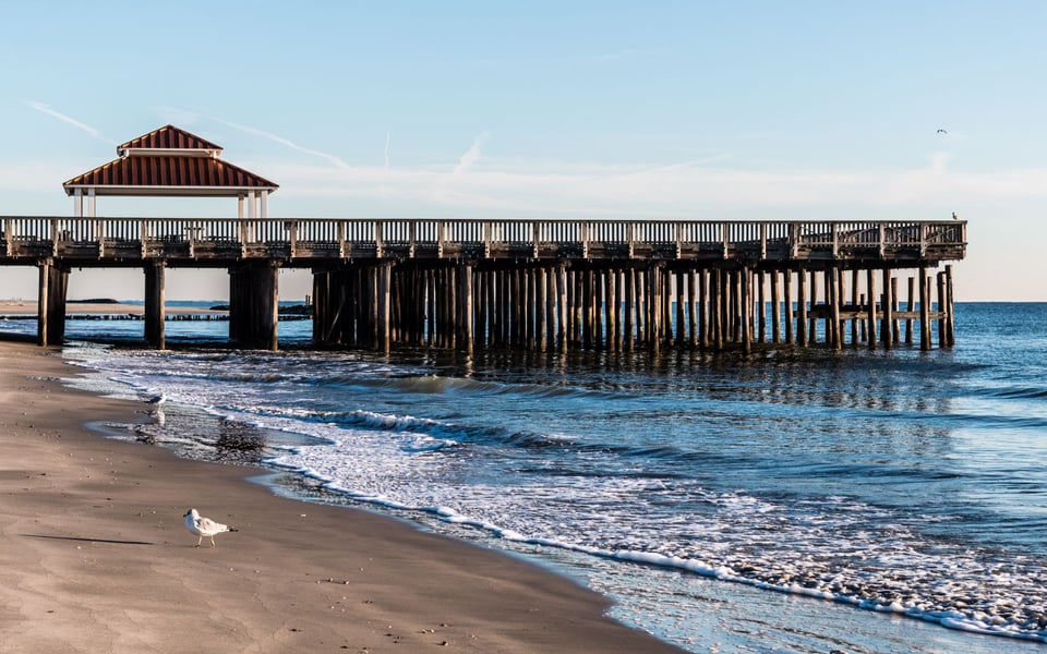 Explore Hampton | Your Ultimate Neighborhood Guide