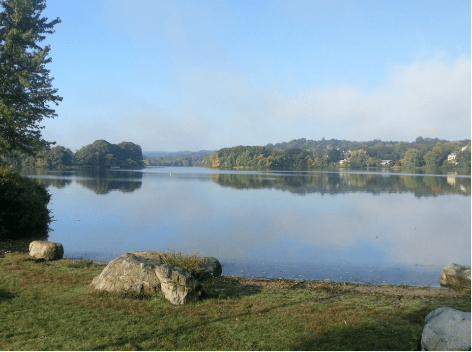 Arlington | Community Guide | Dana Schaefer Team