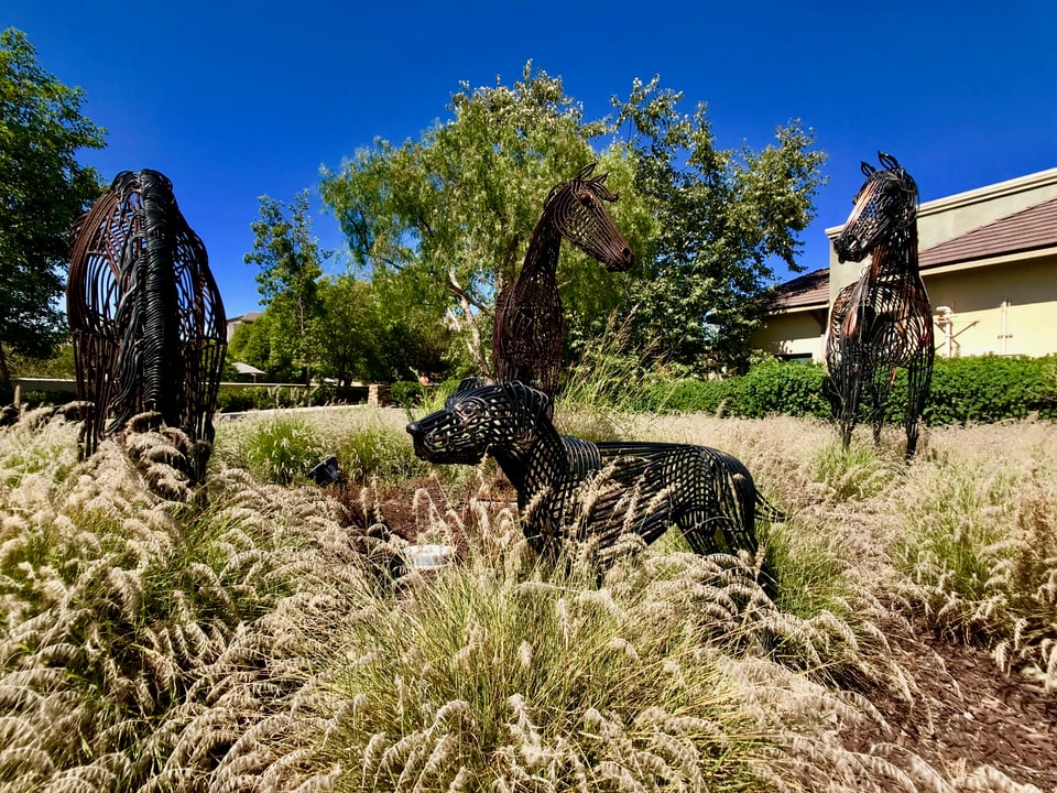 4S Ranch | Community Guide | The Schreiber Team