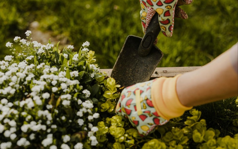Revamping Your Backyard to Increase Home Value in Silver Lake, Los ...