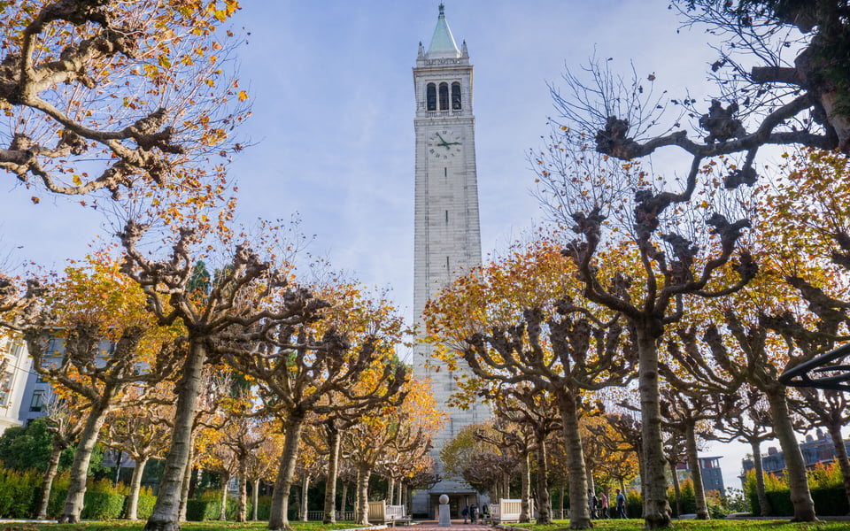 Berkeley | Neighborhood Guide | Danny DeSmidt