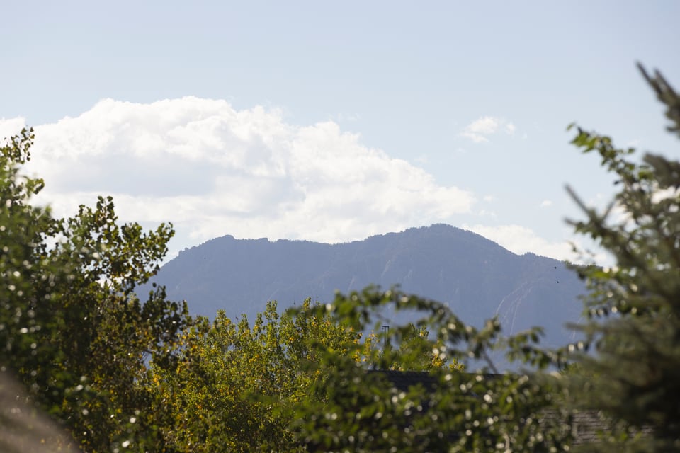 8003 Sagebrush Court