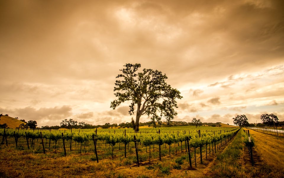 Templeton, CA Real Estate | Luxury Homes & Estates